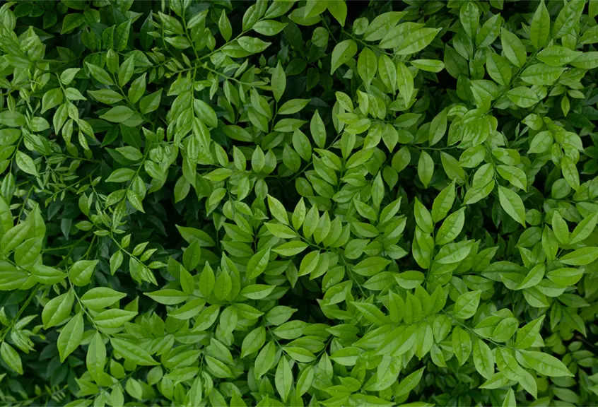 hero image banner small