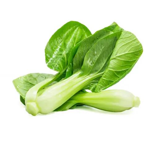 product Chinese cabbage