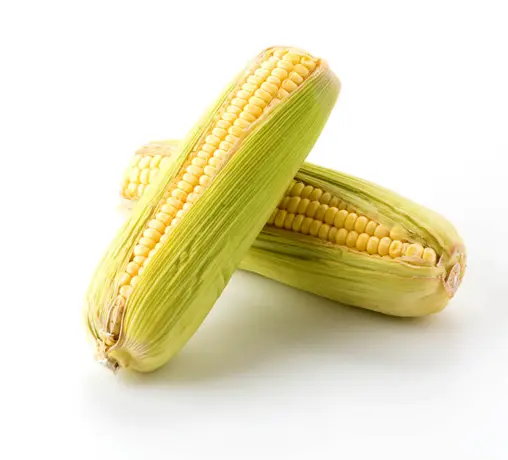 product corn