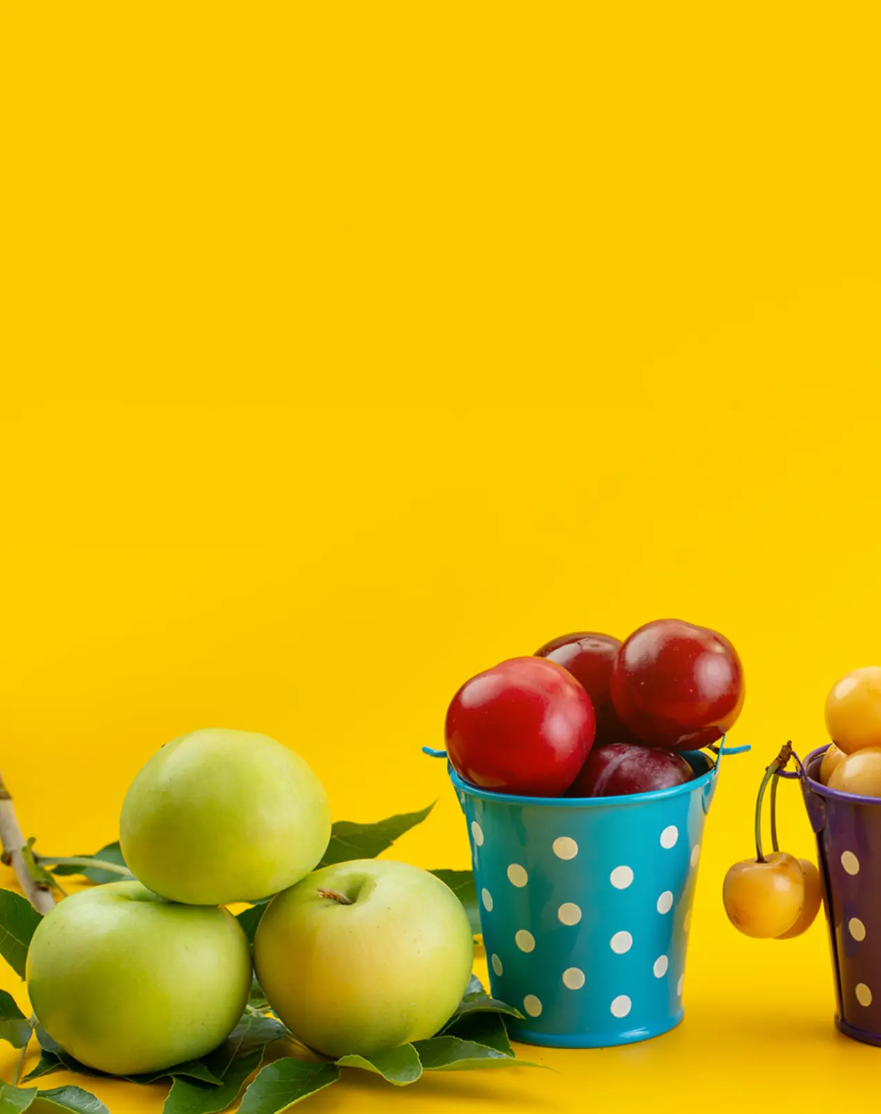 sale banner 100%-fresh-fruit