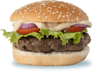 burger image
